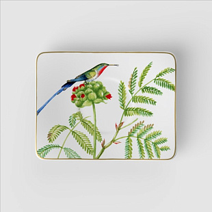 Amazonia Блюдце для кофейной чашки 17x14